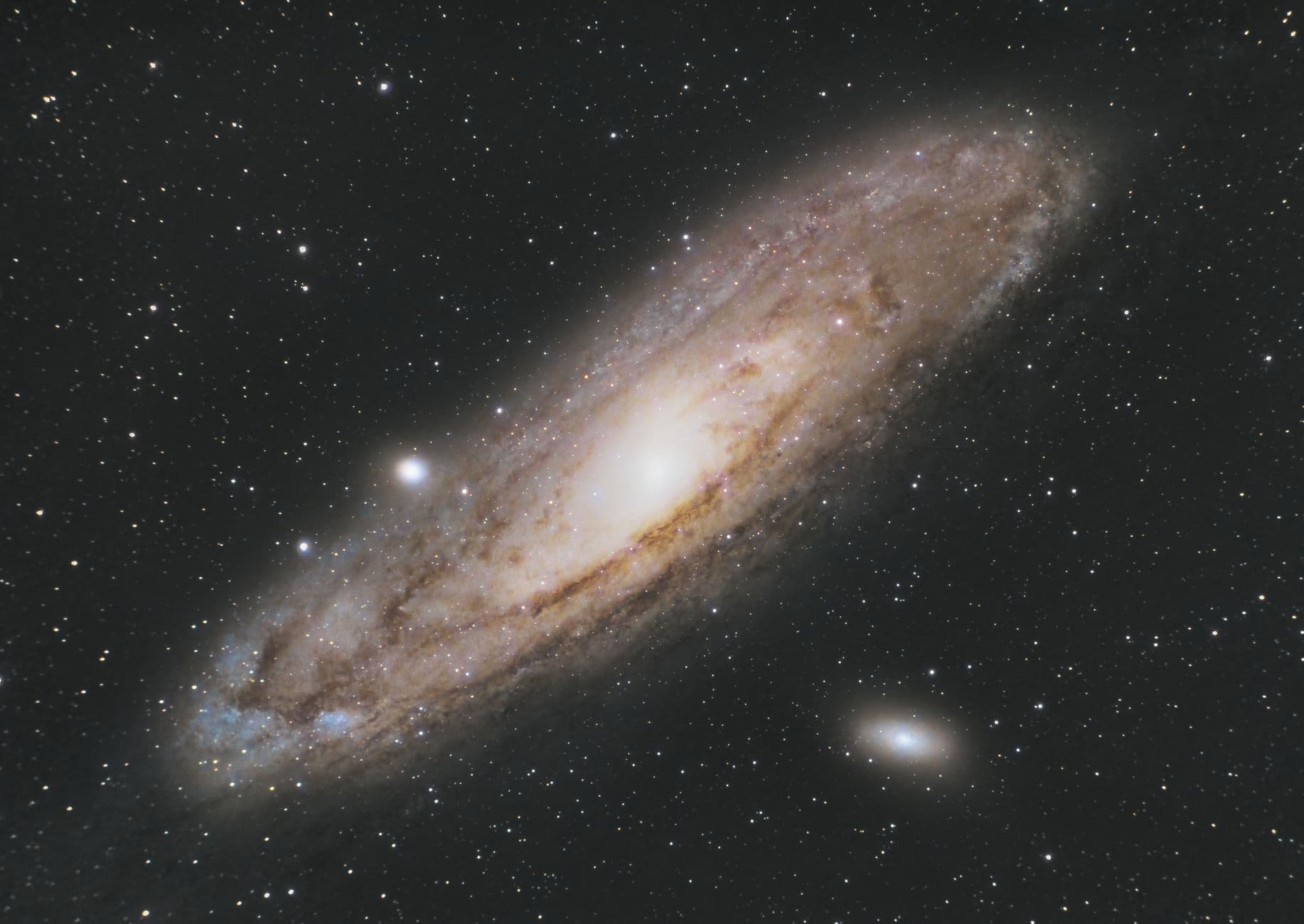 A Ghost Particle Just Narced on a Black Hole