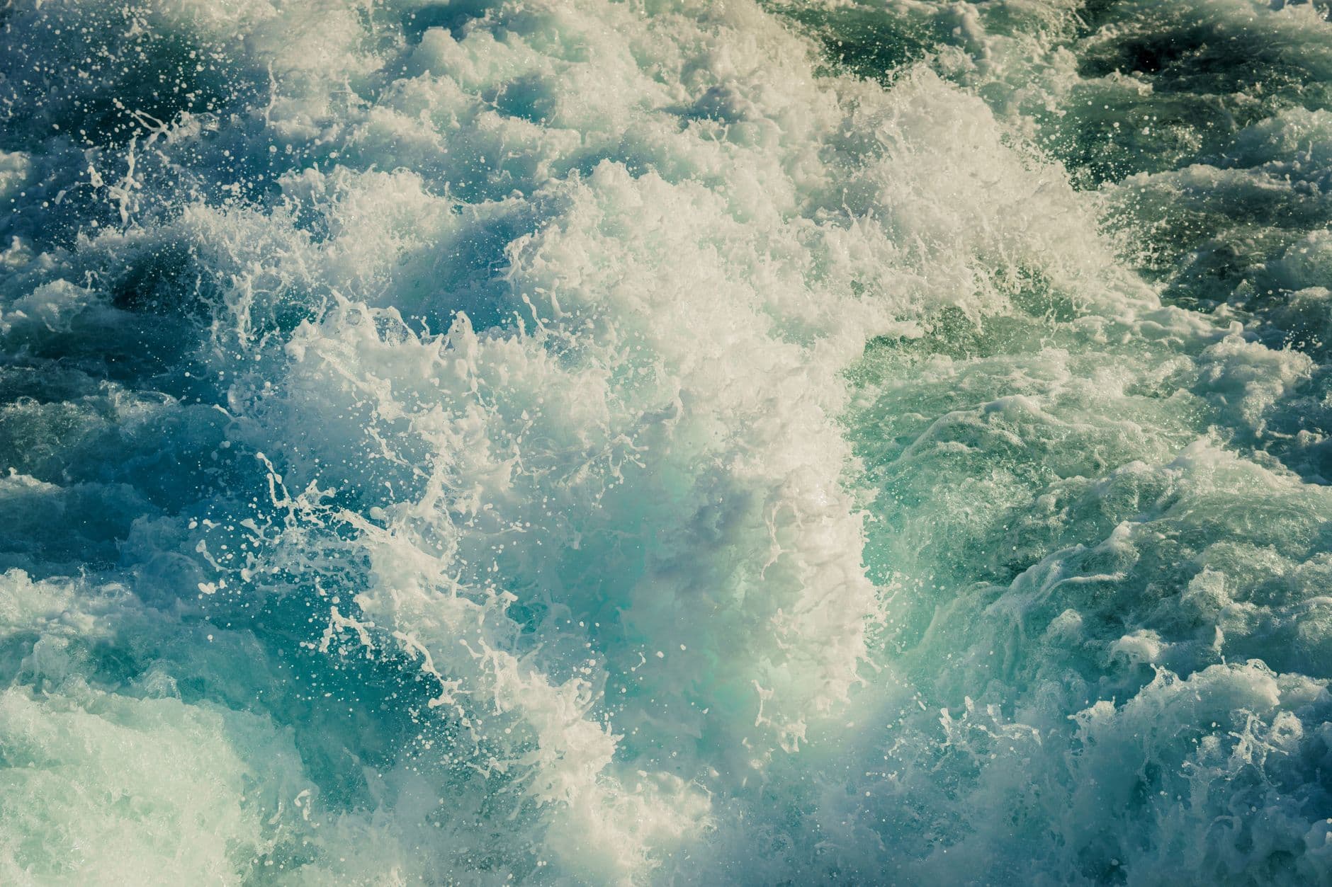 The Immortal Sludge Reefs of West Africa