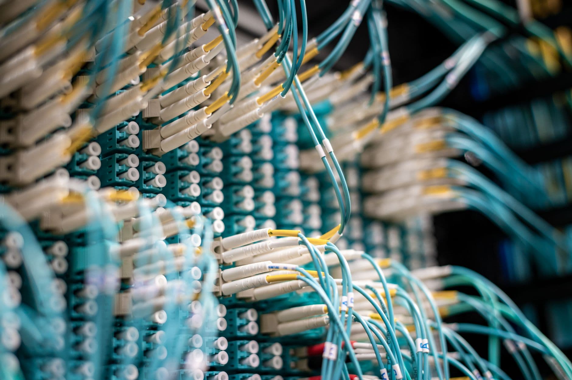 The Digital Bunker and the End of Interdependence