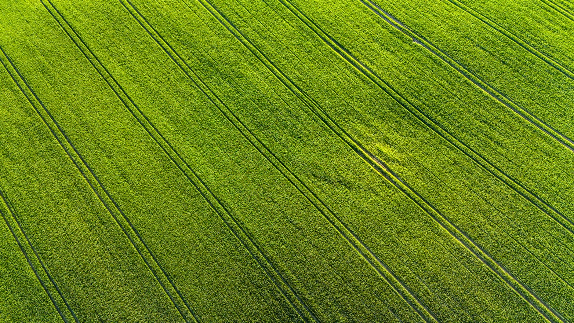 Engineering the Dirt Out of Agriculture