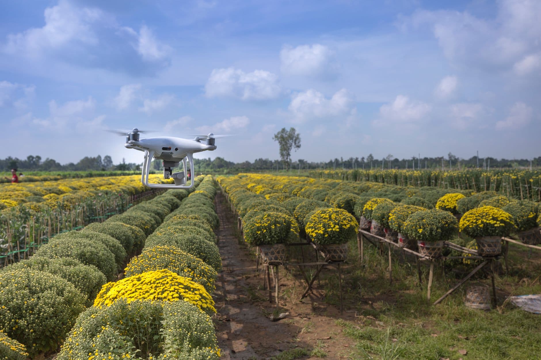 The Digital Pesticide Crisis in Our Food Systems