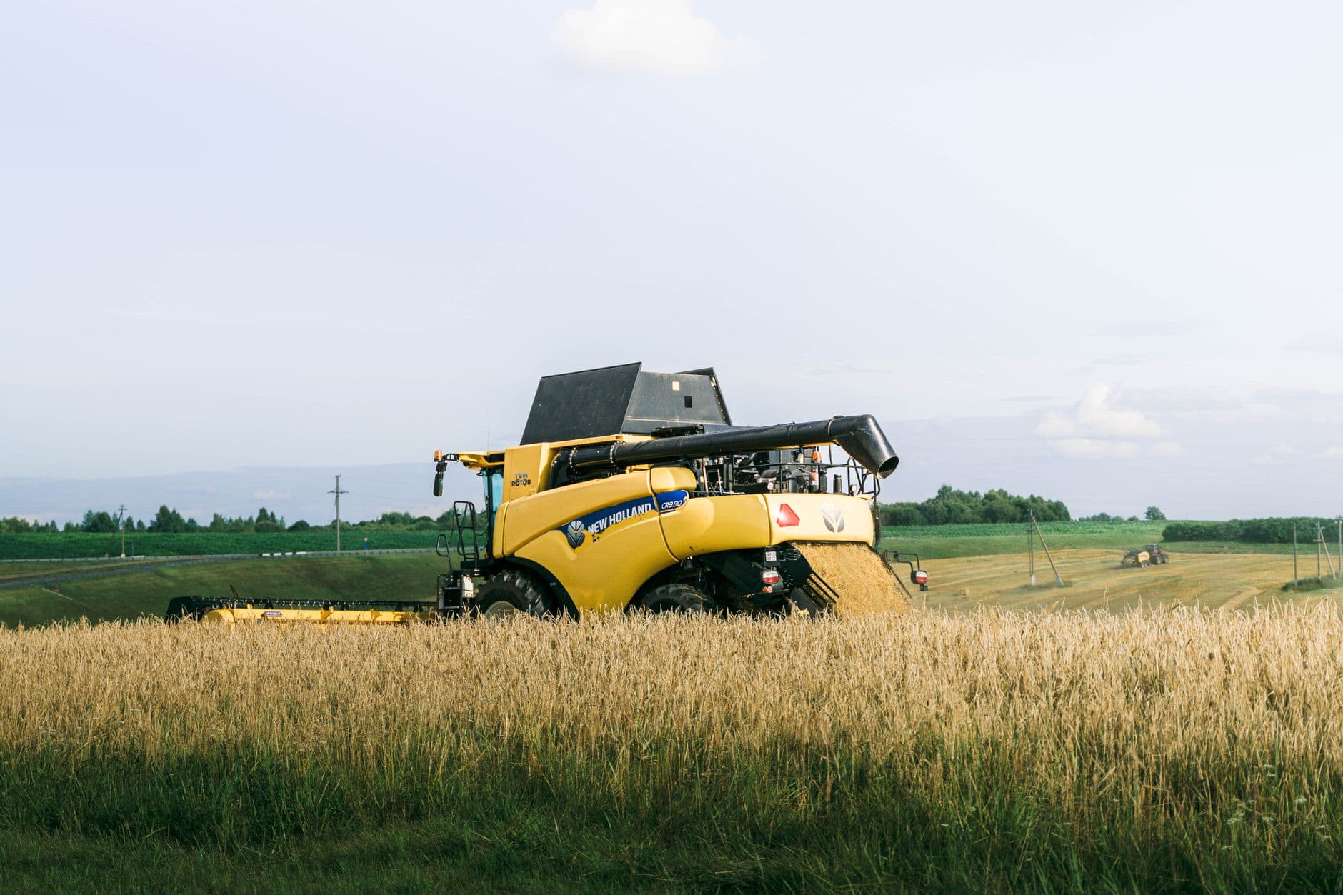 The Weaponization of Domain Names Threatens Global Food Integrity