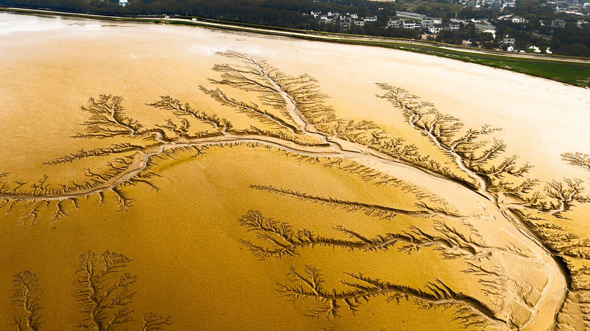 The Stagnant Depths of Lake Ontario