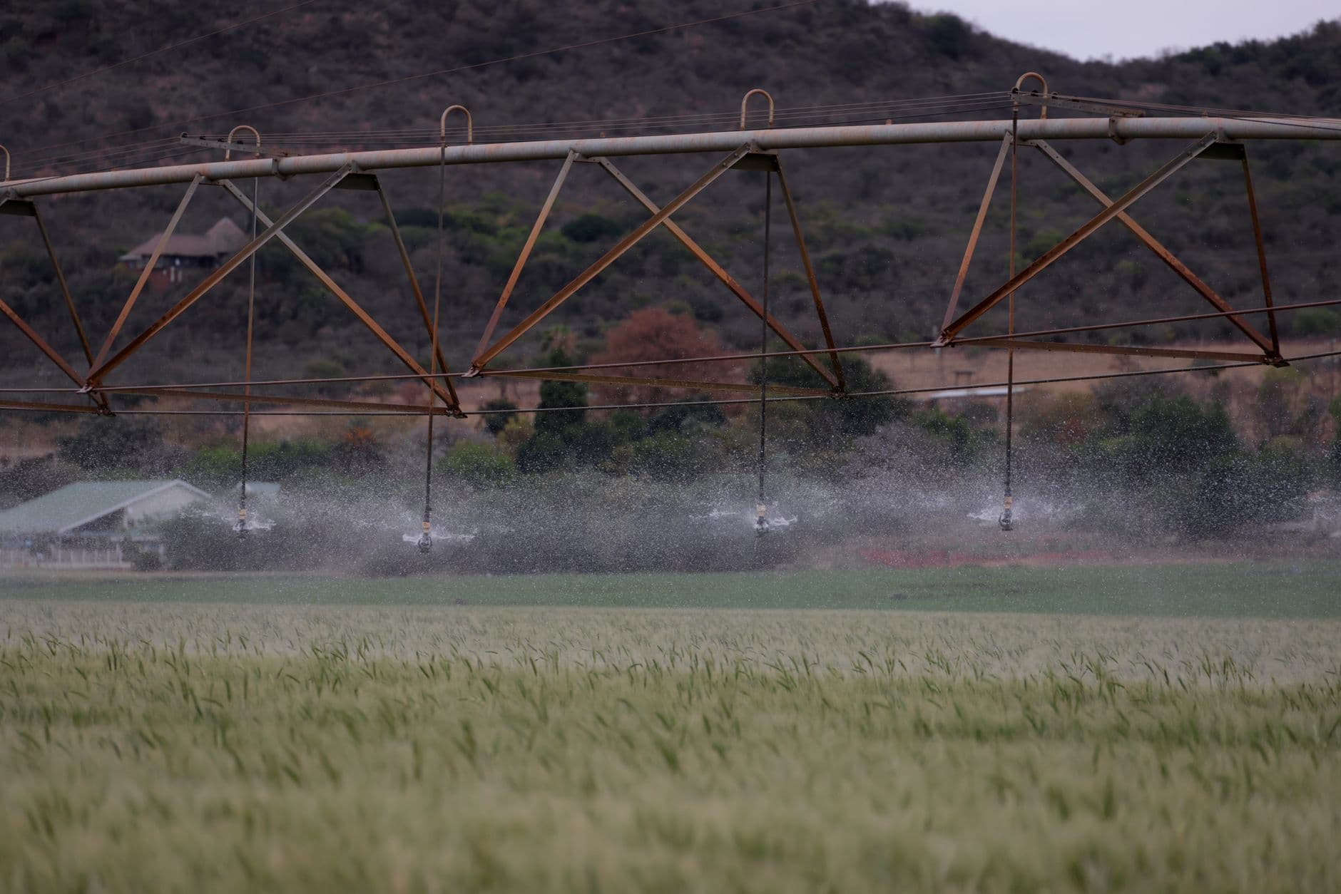 Silicon Valley Will Save Soil With Spreadsheets Now