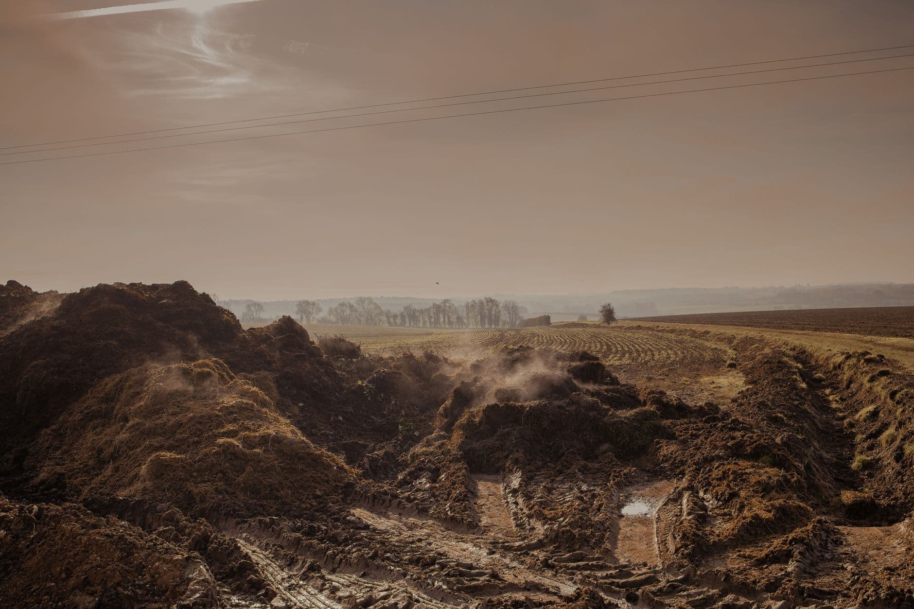 Eat Your Dirt and Like It