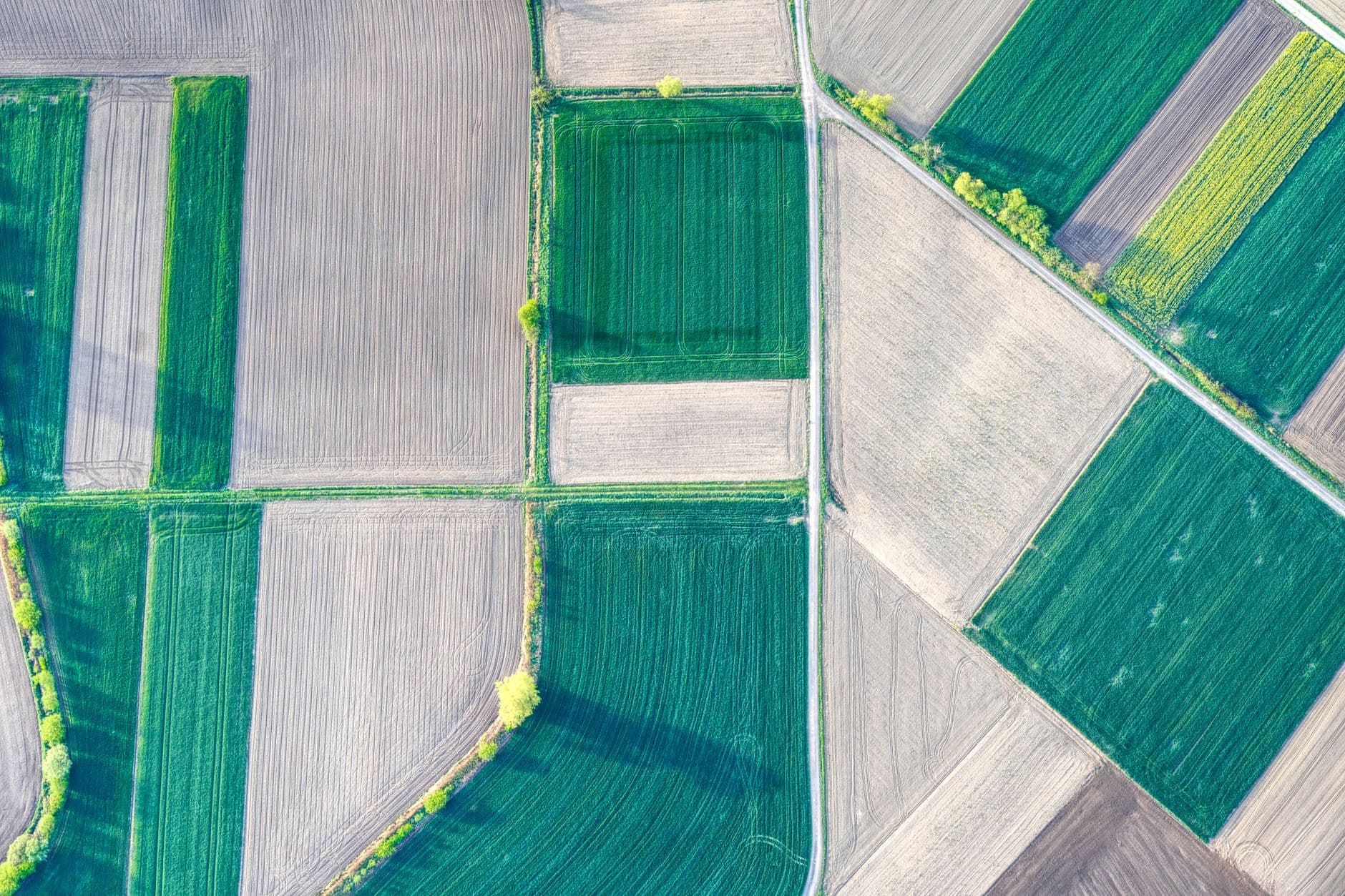 The Digital Enclosure of the American Farm