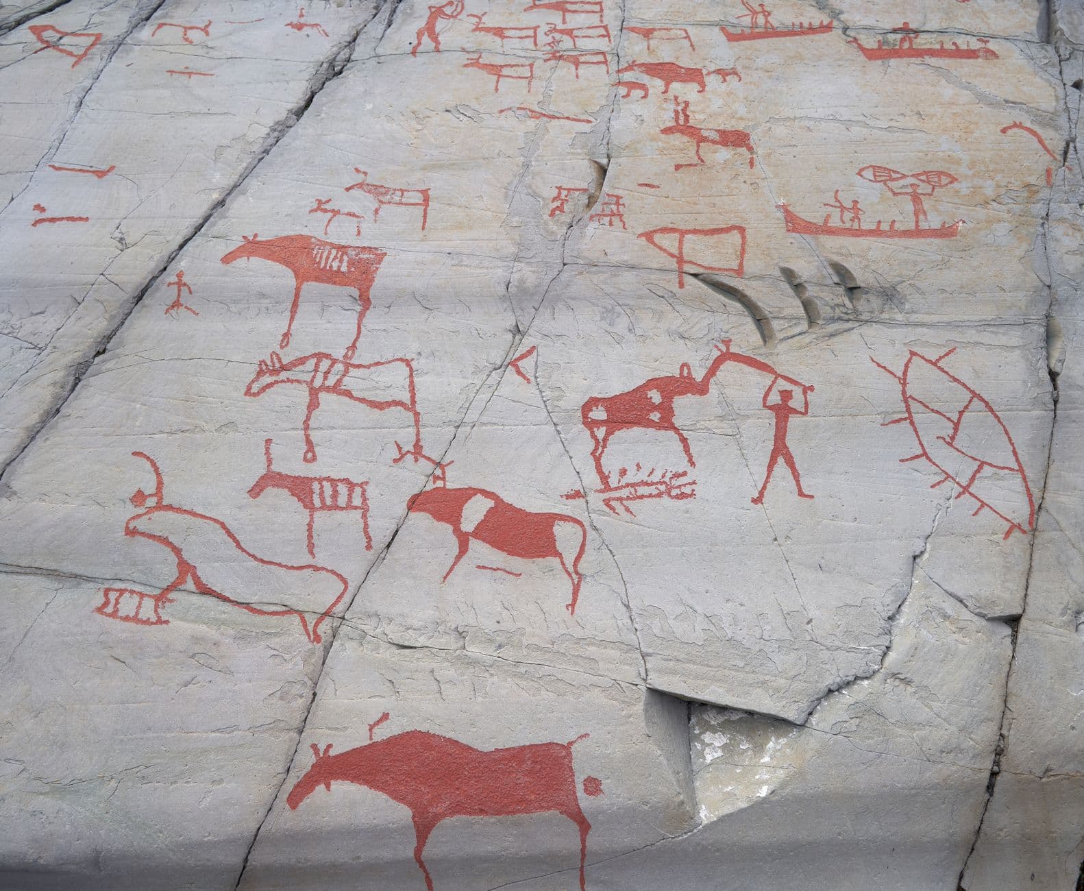 The Prehistoric String Theory of Modern Medicine