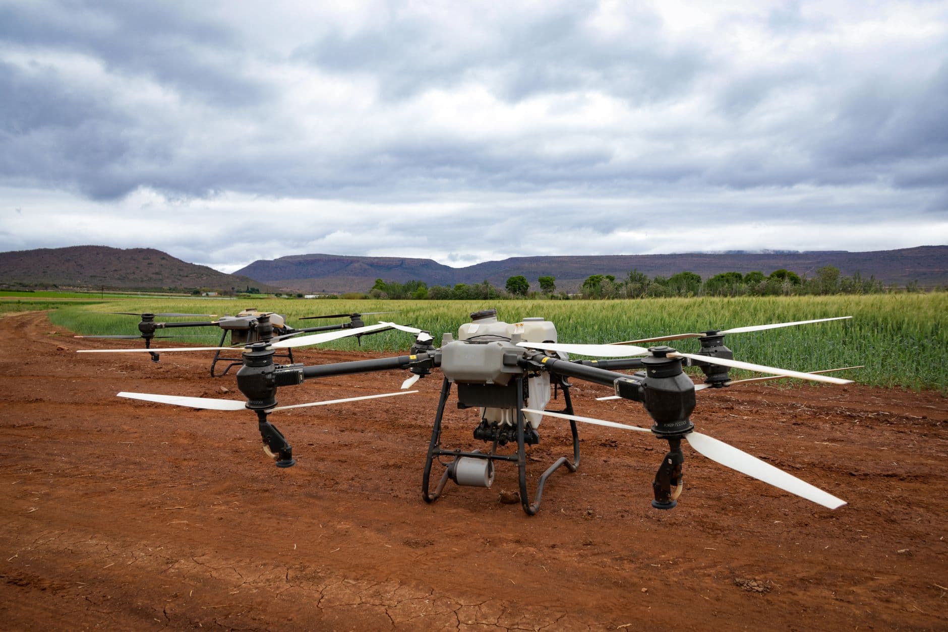 The Silent Precision of Memory Safe Agriculture