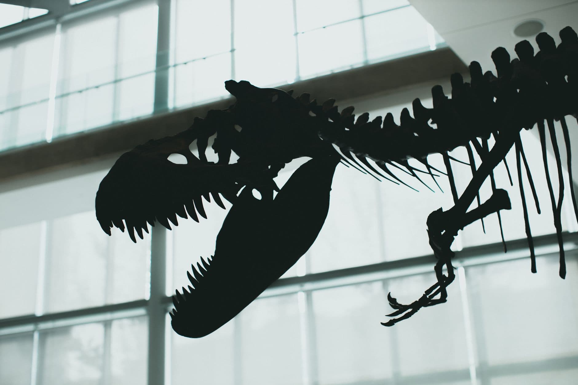 The Jurassic Monoculture and the Myth of Continental Isolation