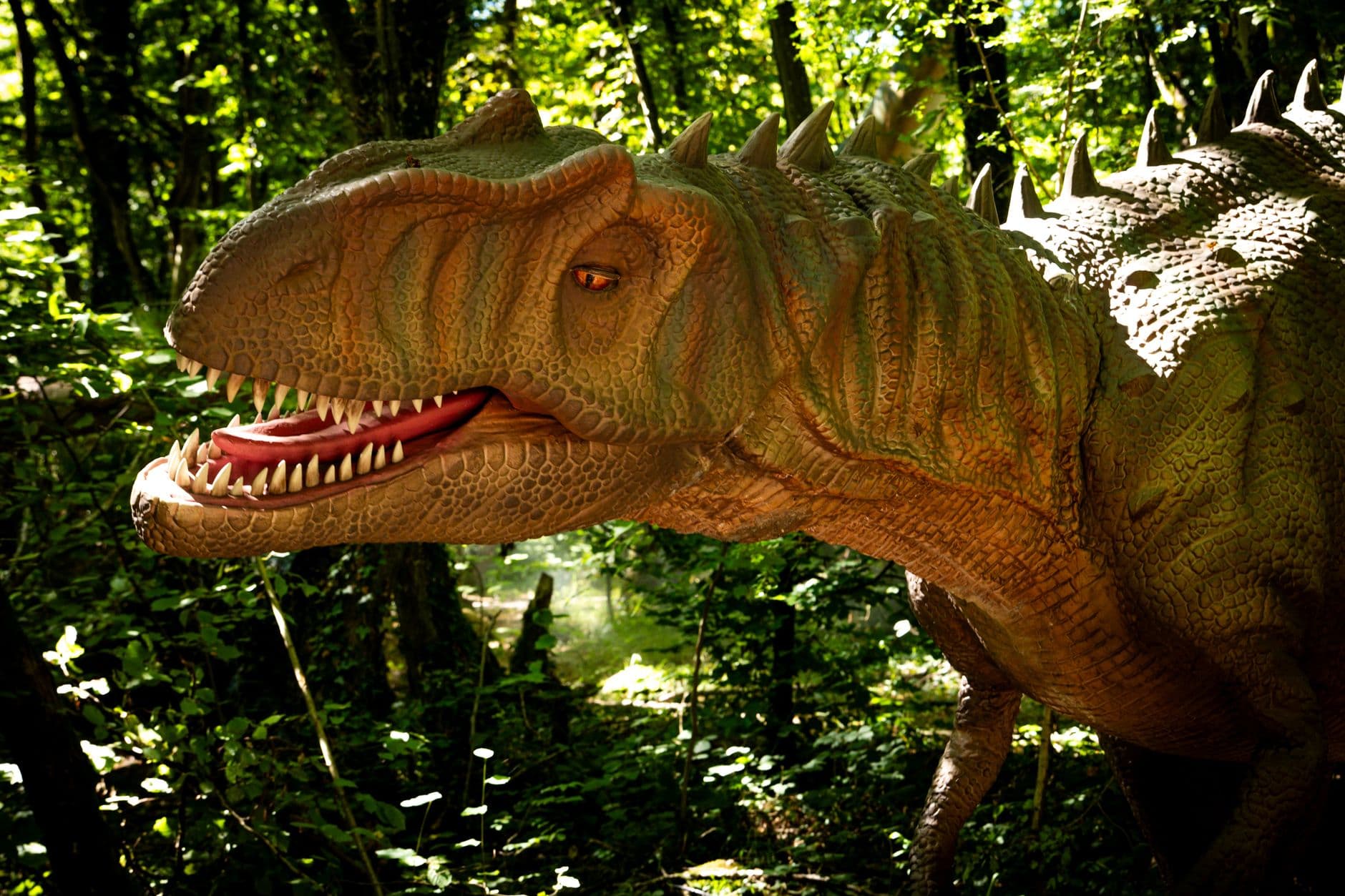 The Dinosaurs Died Because of Bad Real Estate Luck