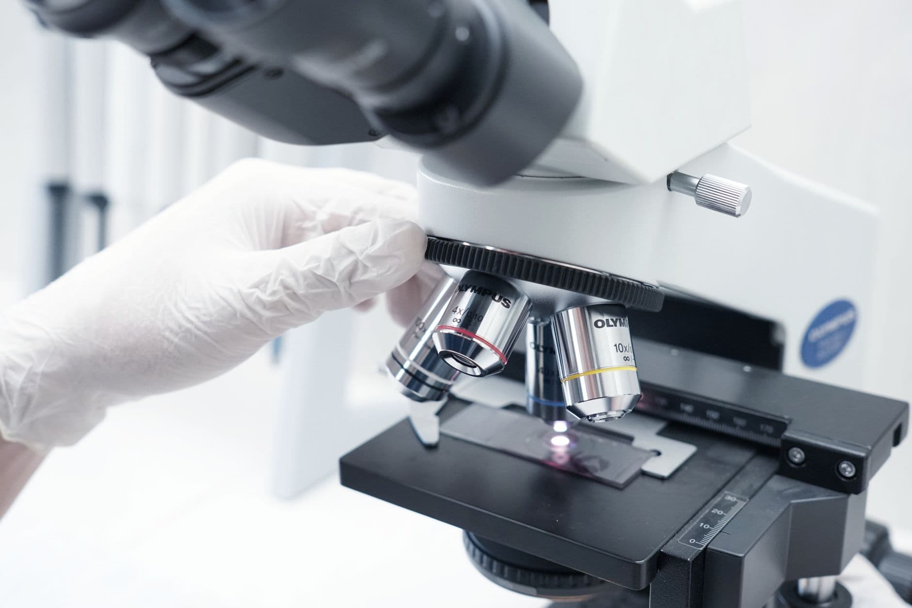 Cells Are Just High-Stakes Spaghetti Logic With Better Funding