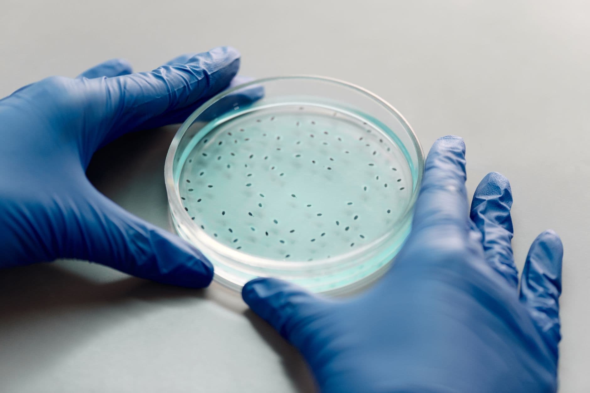 The Biological Midlife Crisis of Our Cells