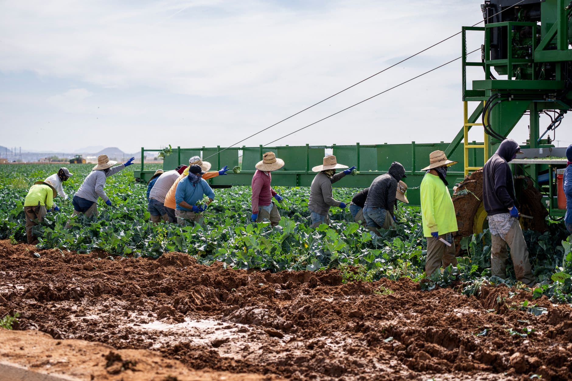 Nitrogen Anonymous: Stop Feeding Your Corn Like a Bodybuilder