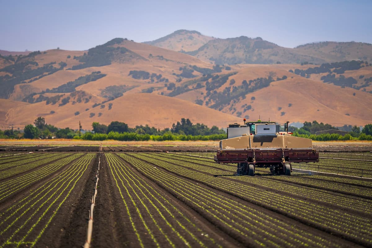 a sleek white robot weeding a dusty field