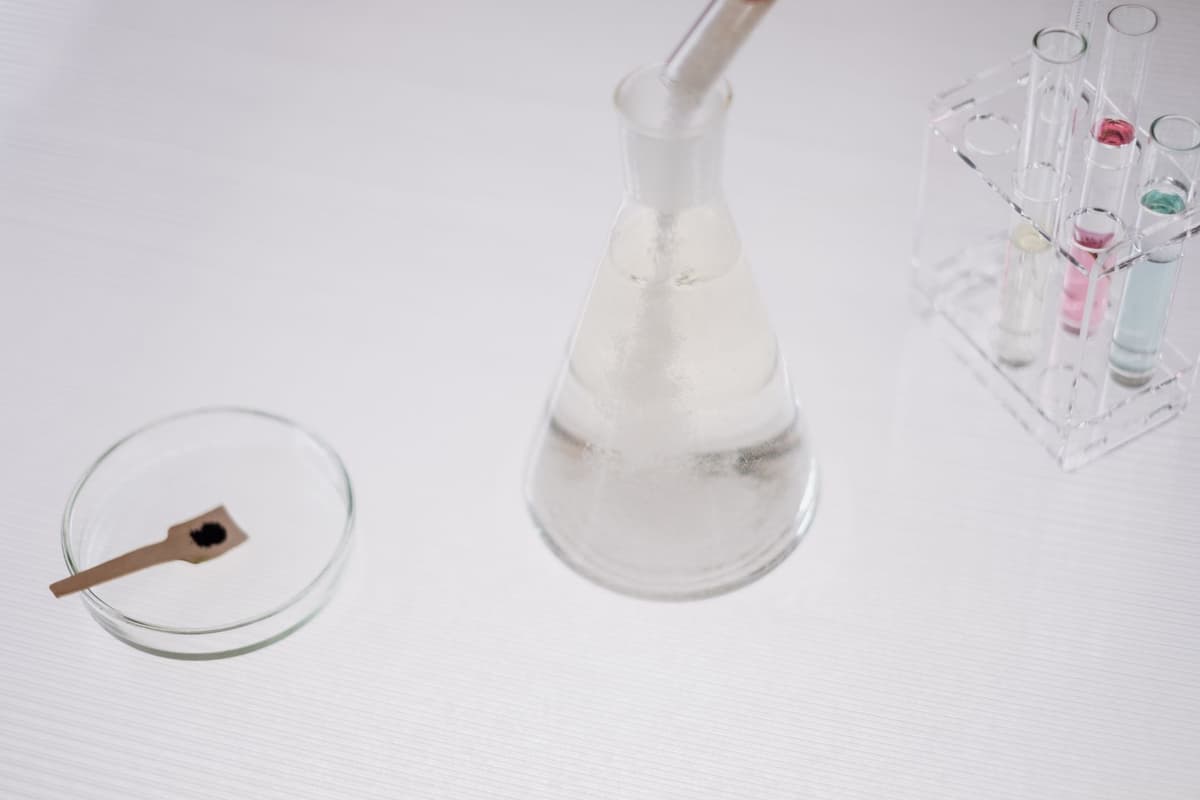 a single silver key sitting inside a glass petri dish