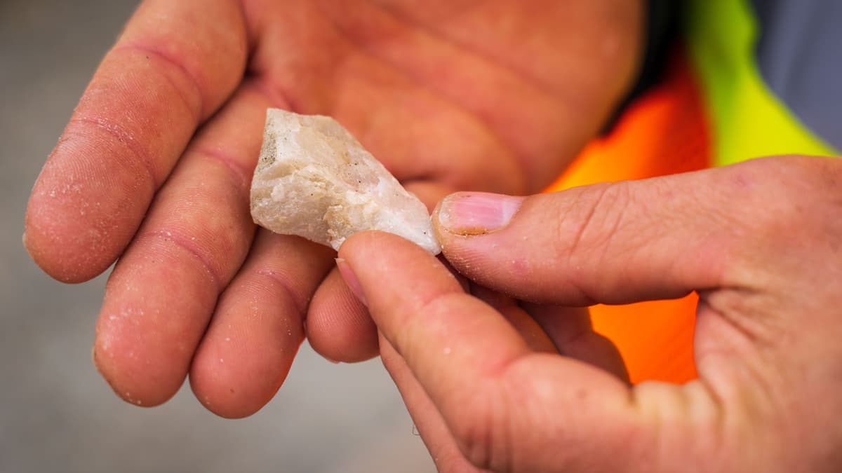 a geologist aggressively licking a shiny grey rock