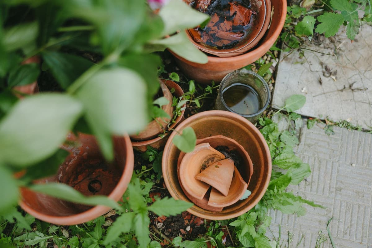a terracotta pot fragment embedded in rich black soil