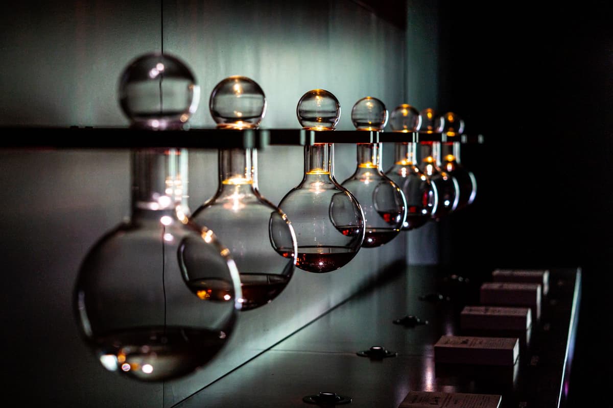 rows of horseshoe crabs in a sterile lab being bled into glass jars