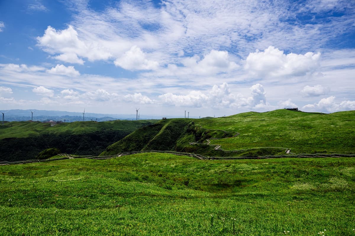 rows of tripods on a grassy hill