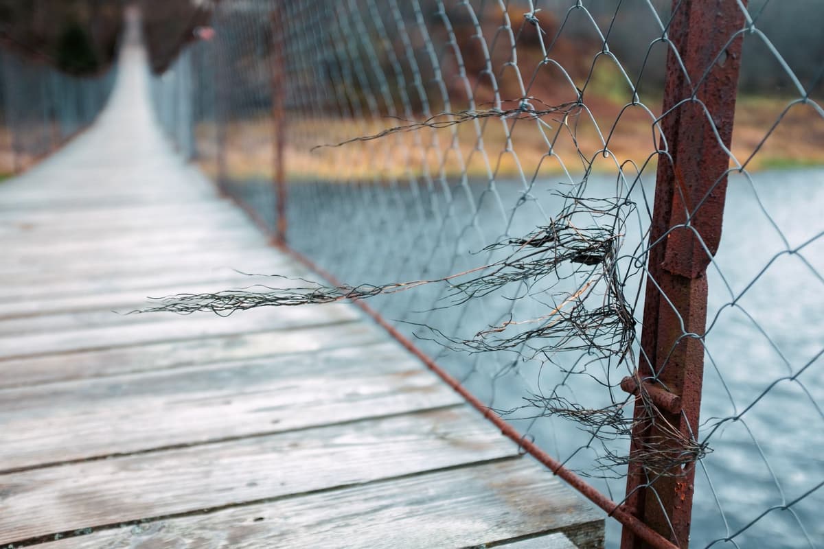 an overgrown, rusted bridge over a still lake