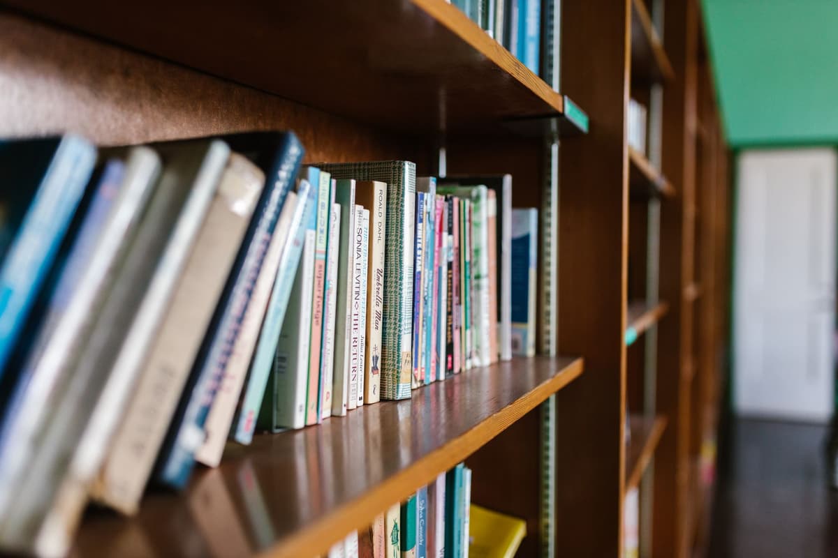 a tall wooden bookshelf filled with mismatched spines in a sunlight room