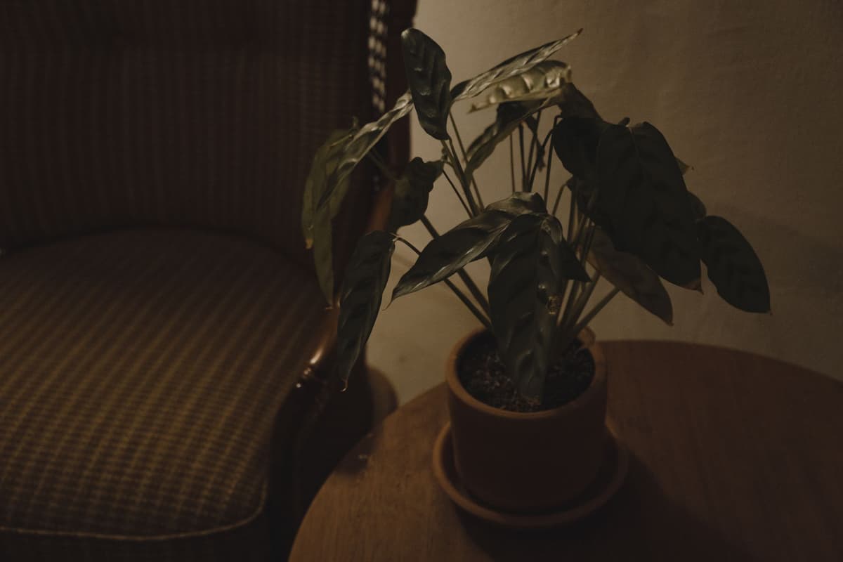 a dusty clay pot sitting on a wooden stool