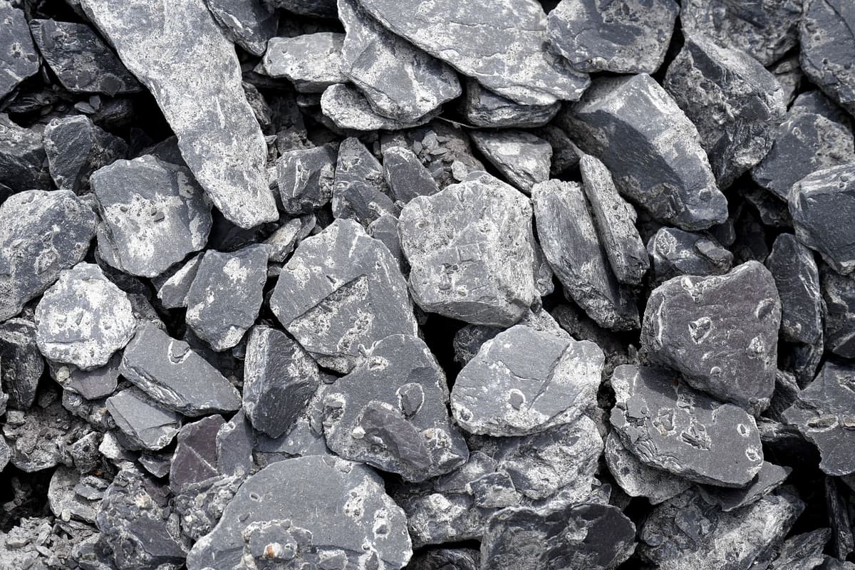a pile of lumpy dark rocks on a white plate