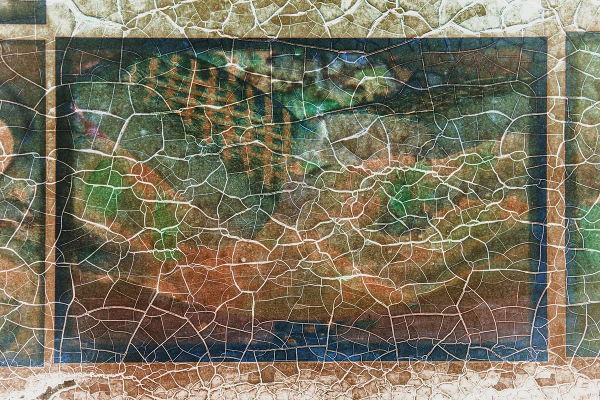a vintage microscope slide showing intricate cellular patterns