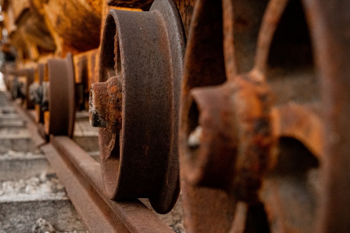 a rusted railway spike surrounded by vibrant green moss