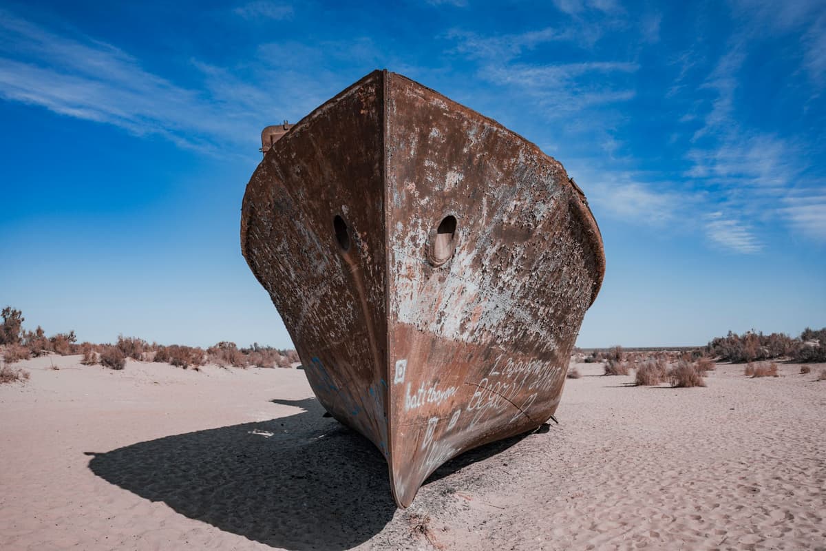 wooden ship ribs protruding from dark seabed sand
