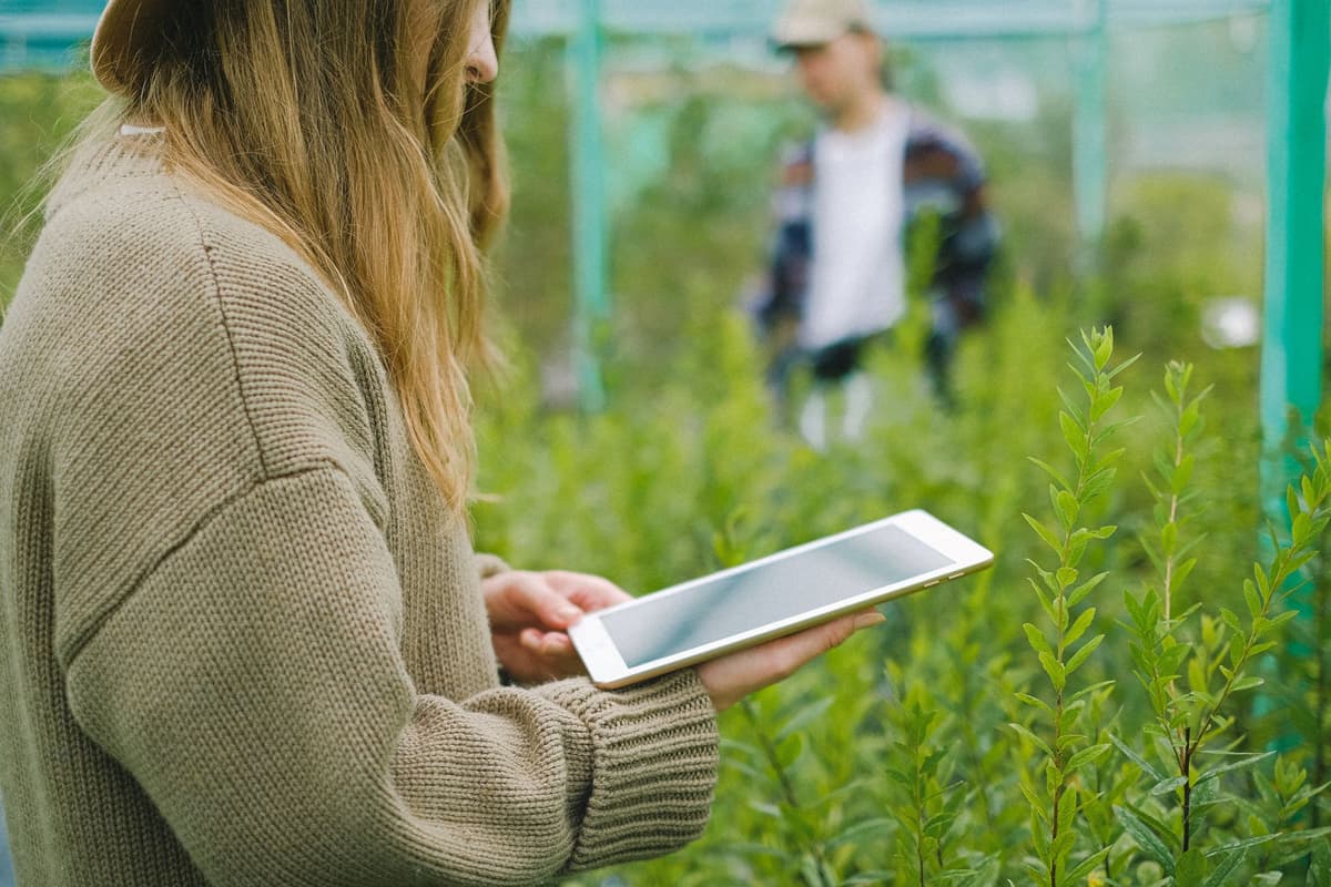 industrial greenhouse monitoring screens and sensors