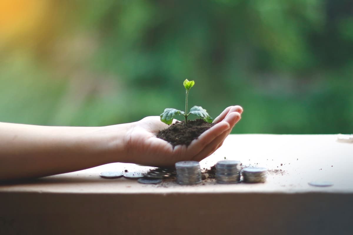 a small robotic arm hovering over a green sprout in dark soil