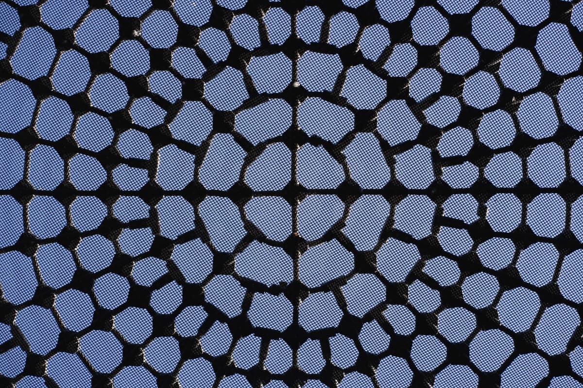 a complex wireframe mesh of gravitational wells