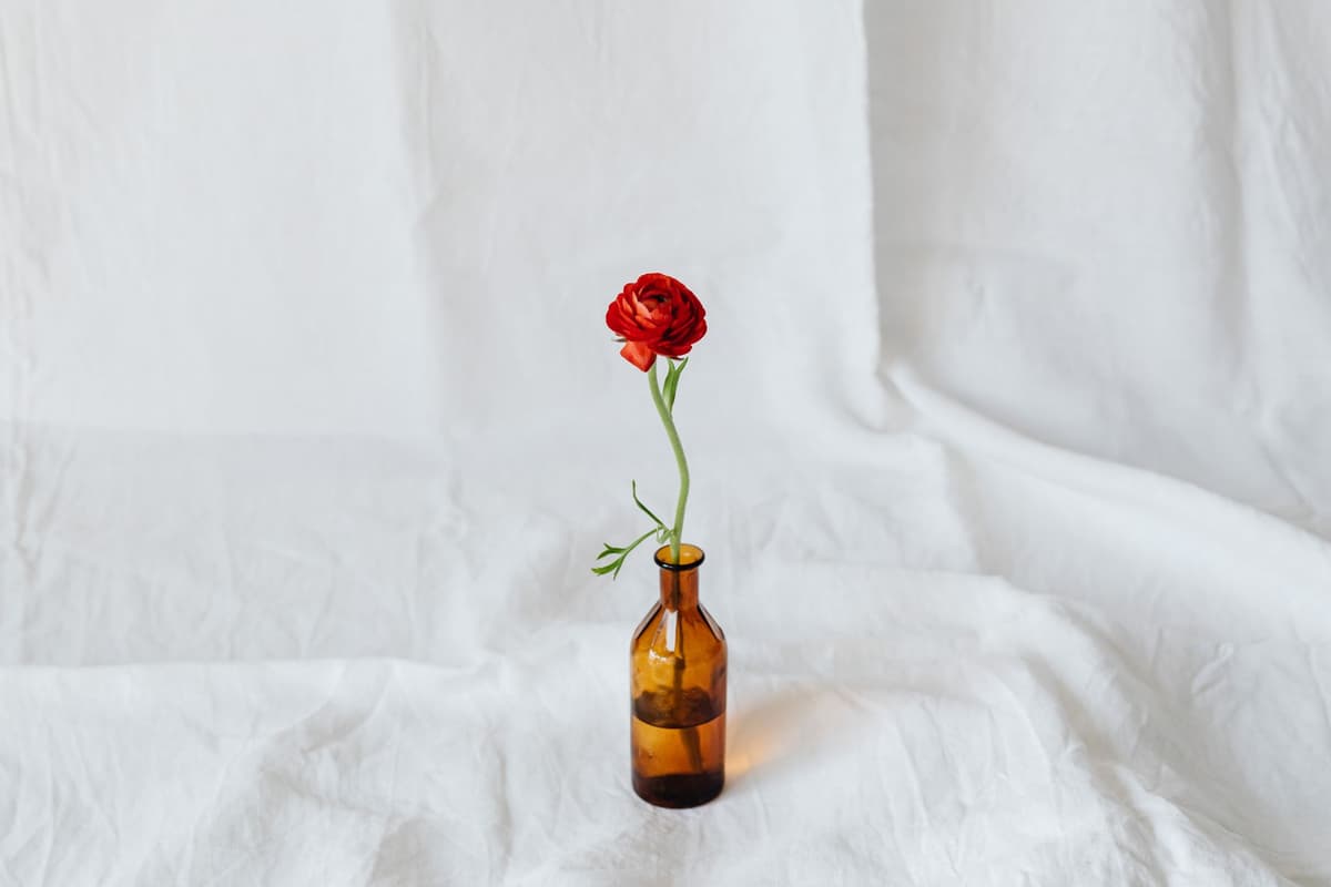 a single red rose in a cracked glass bottle on a stained bathroom sink