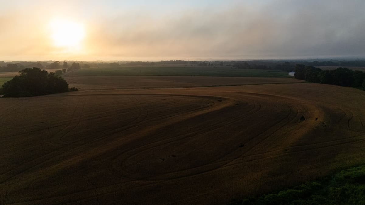 drone flying over an industrial corn field at dawn