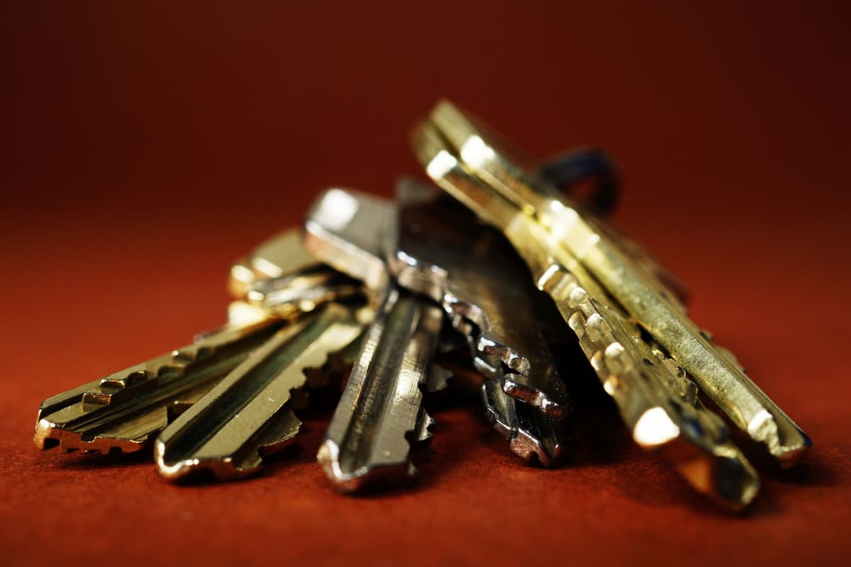 a single massive silver key sitting on a velvet cushion