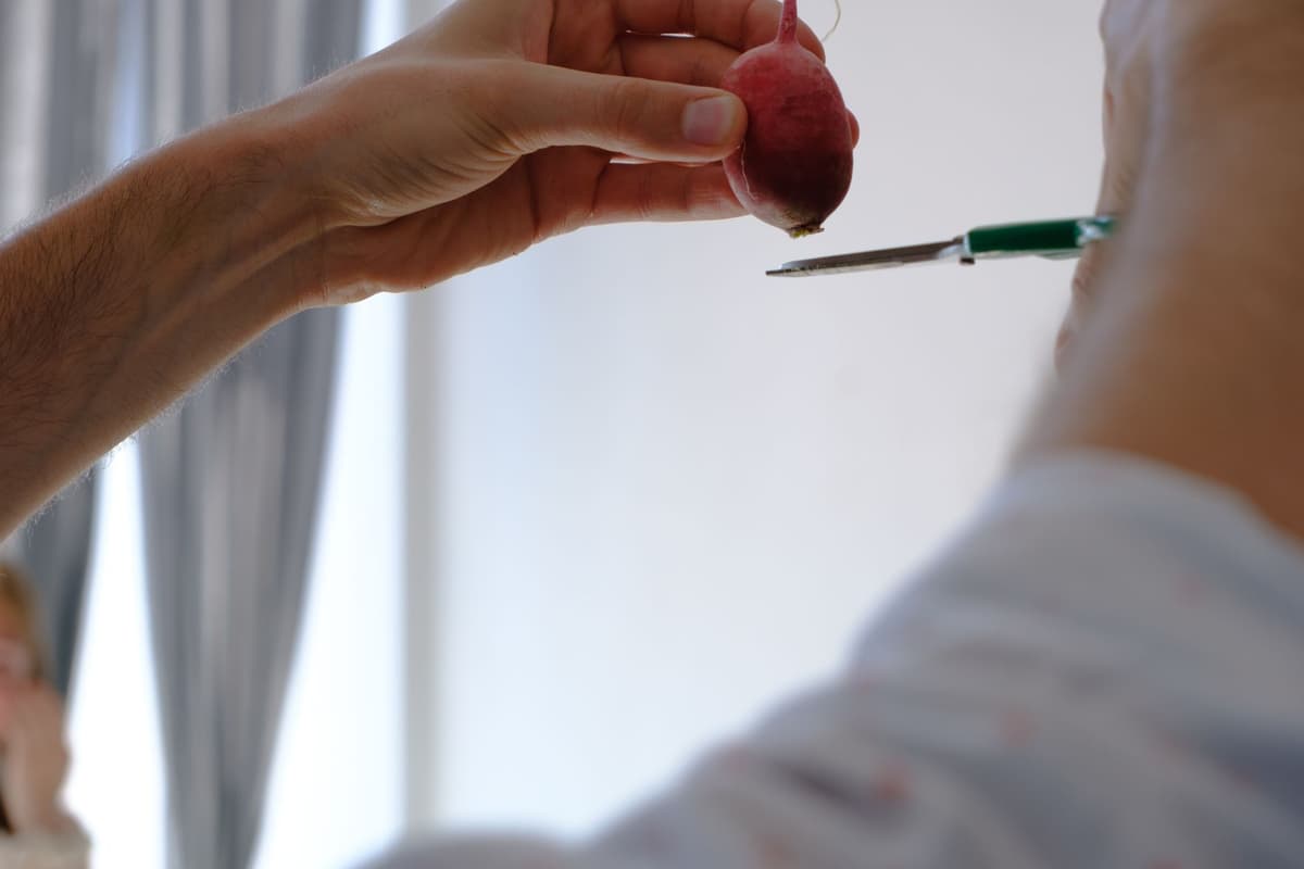 a single pristine radish on a pedestal