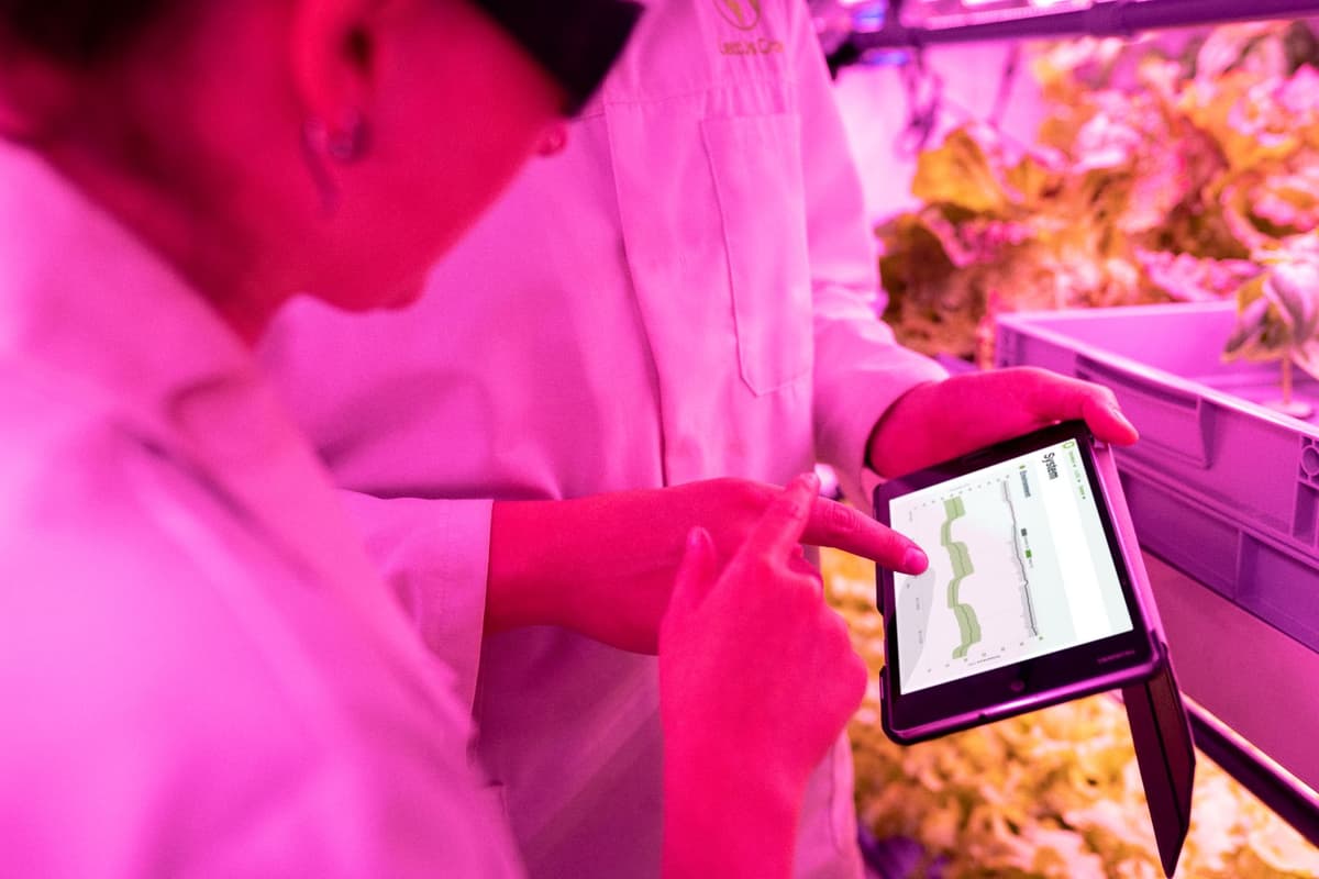 a researcher holding a tablet near a stained rock wall