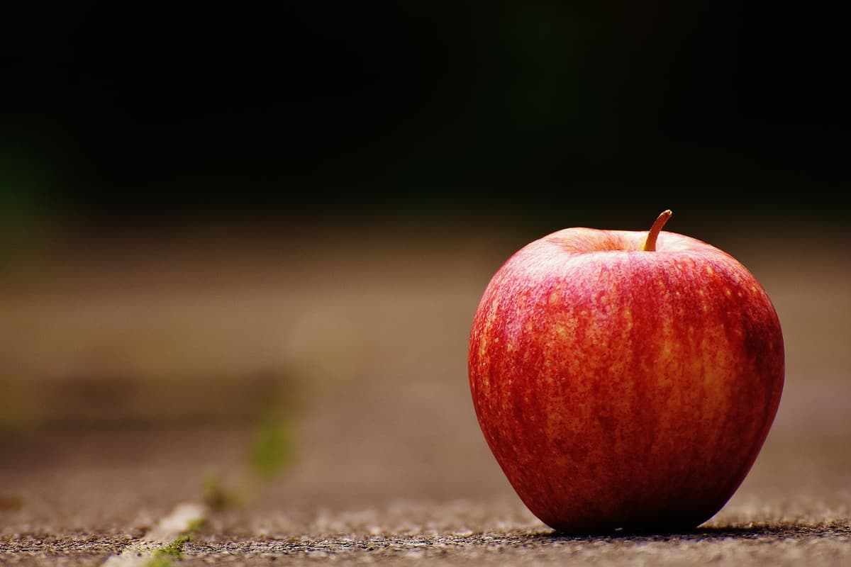 a single shiny red apple inside a massive steel cage