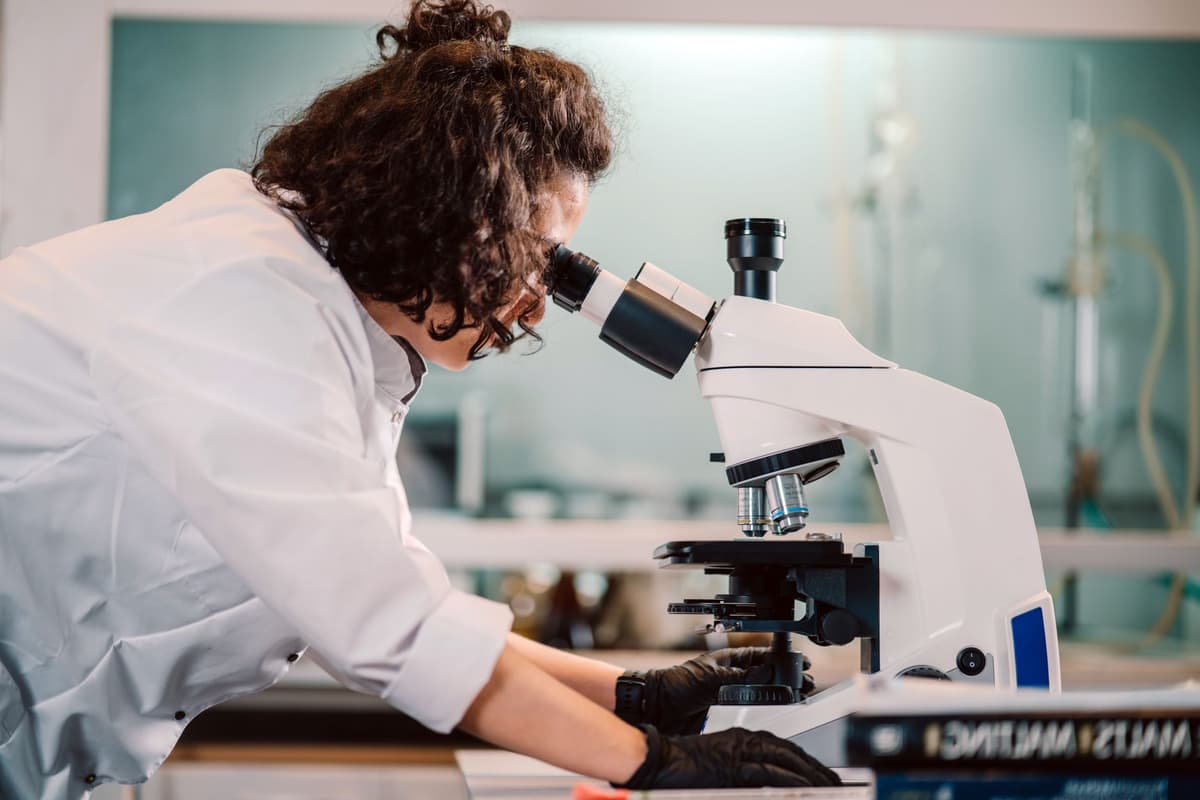 scientists examining rock drill core in lab