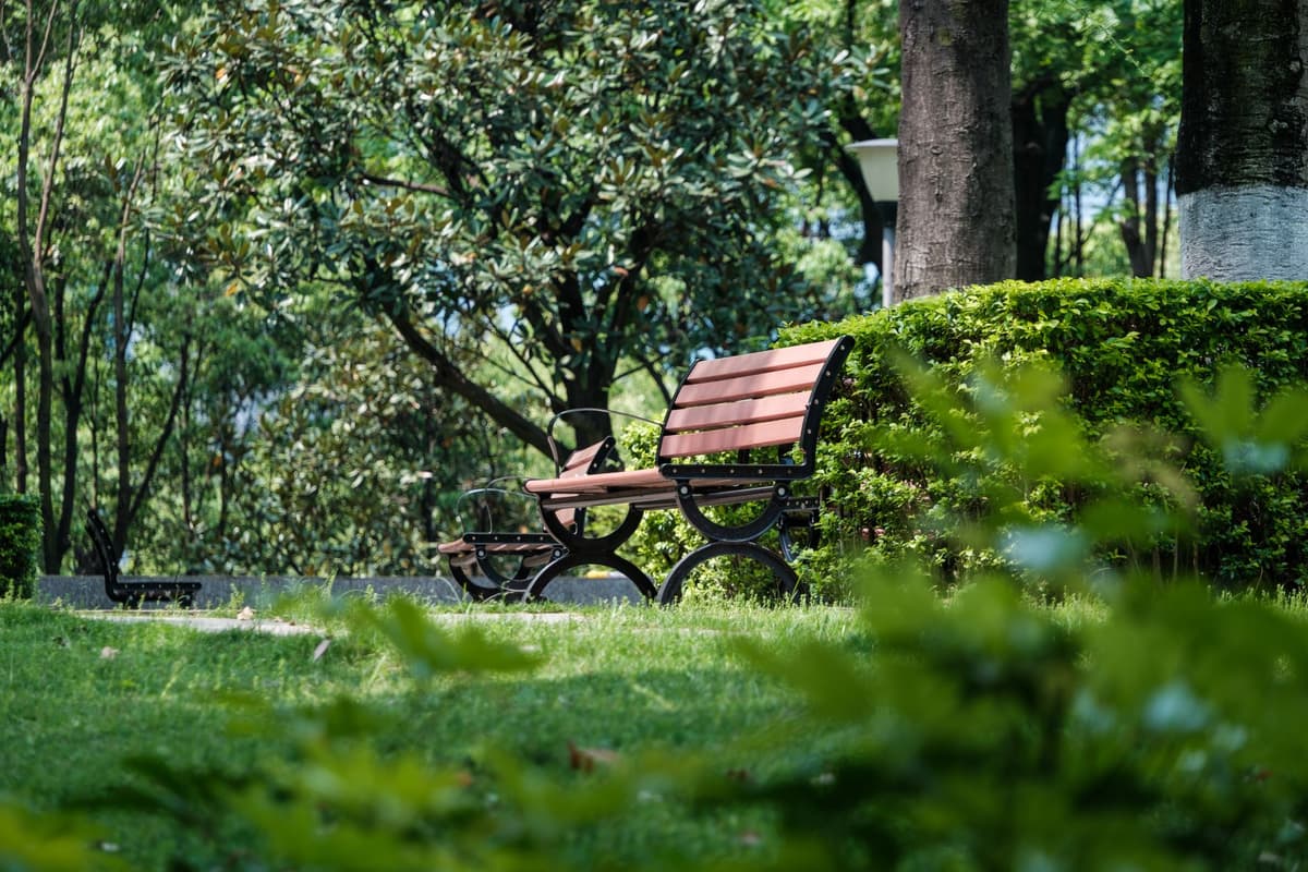 a single wooden bench in a lush indoor garden