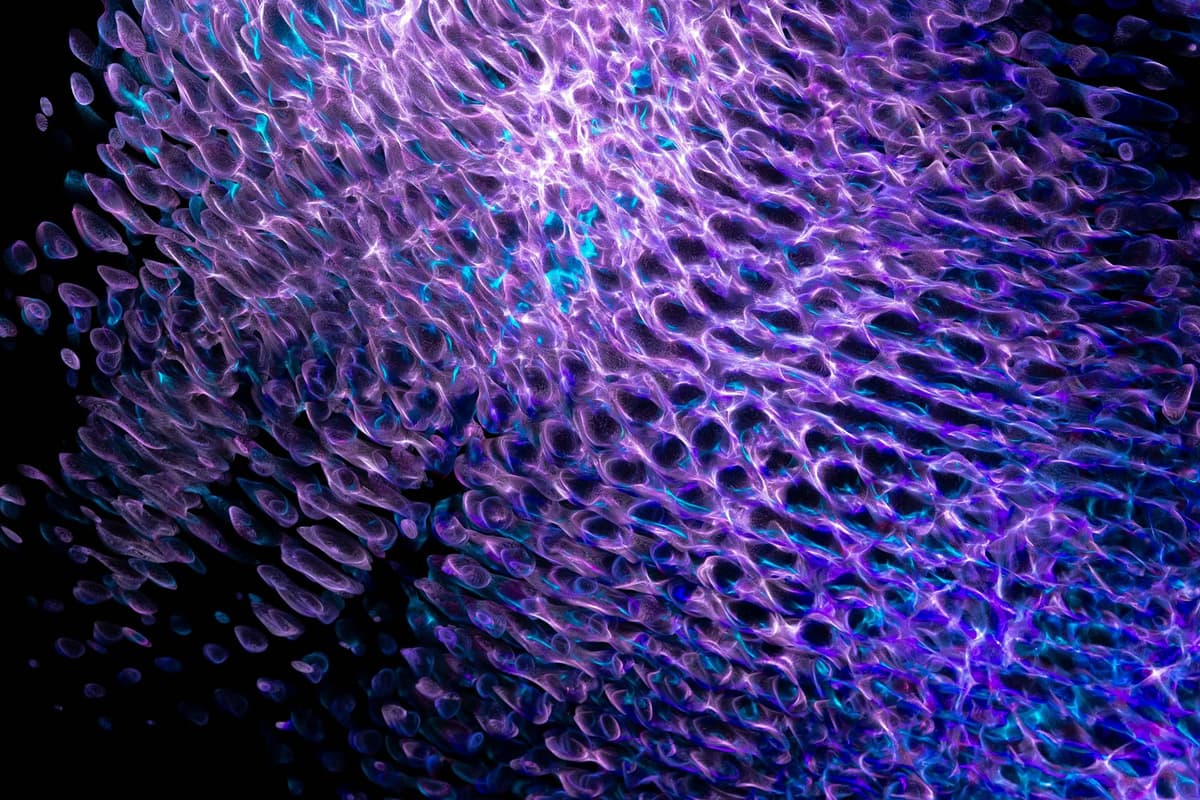 a blurry digital fingerprint dissolving into static