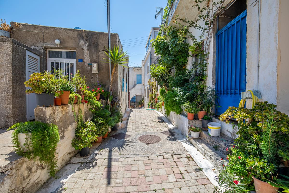 narrow paved alleyway with potted plants and bicycles