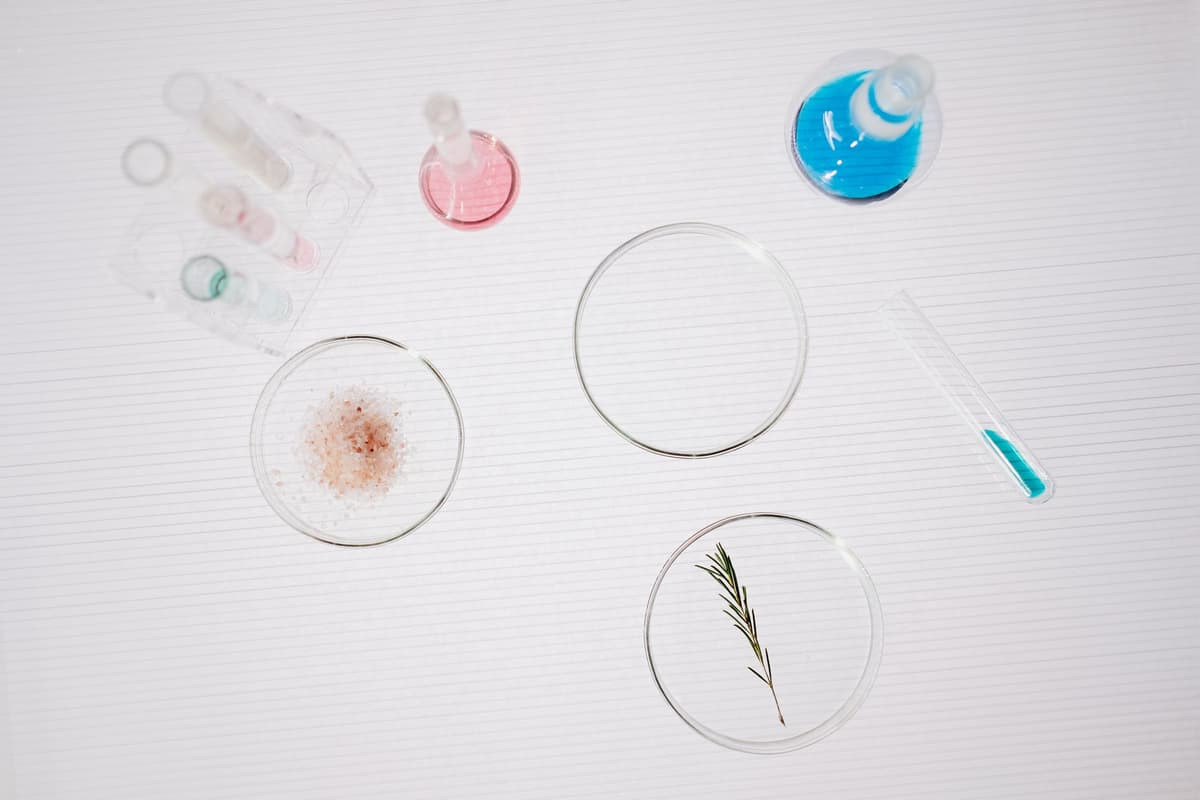 a single blue rose in a sterile glass beaker