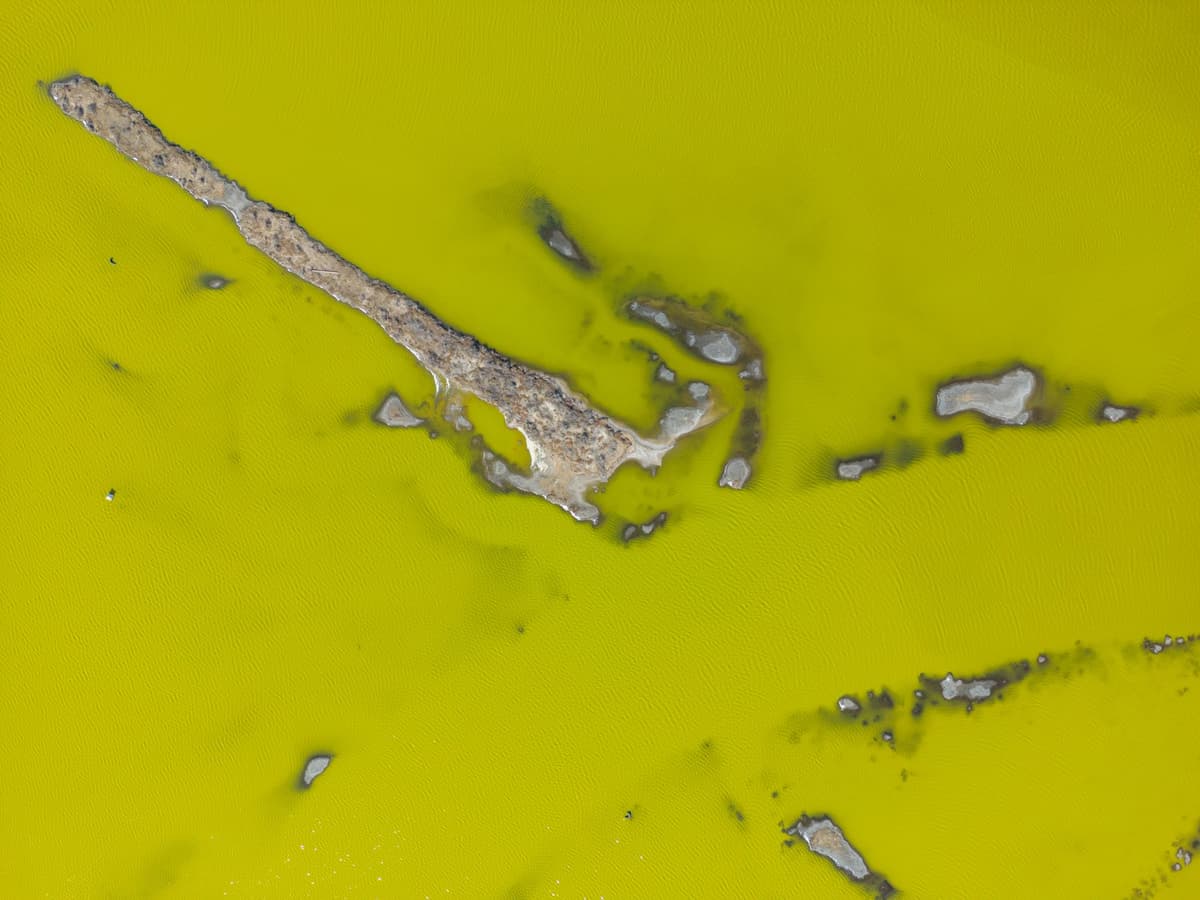 a rusty shower head with green mineral deposits