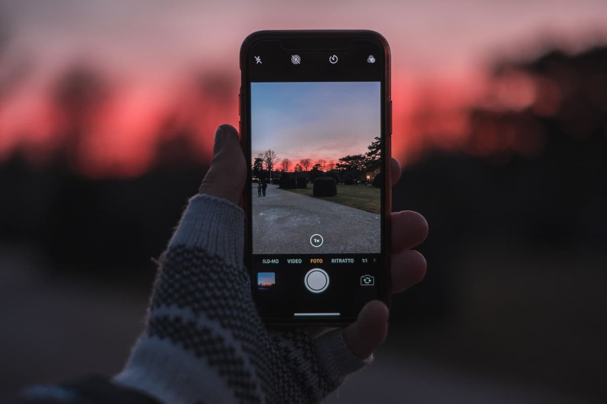 a single glowing smartphone screen in a dark forest