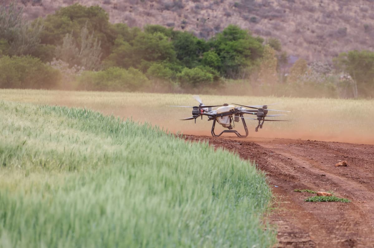 a tiny robot sensor wearing a green accountant visor in a field