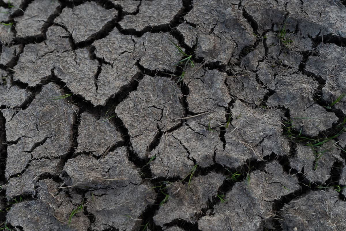 cracked dry permafrost landscape under overcast grey sky